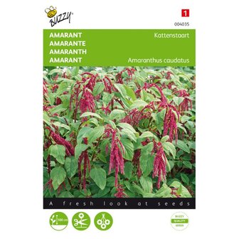 Amaranthus, Kattenstaart rood 