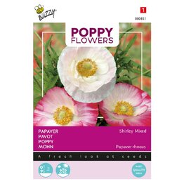  Papaver Shirley