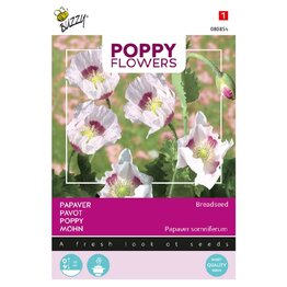  Papaver Blauw Maanzaad