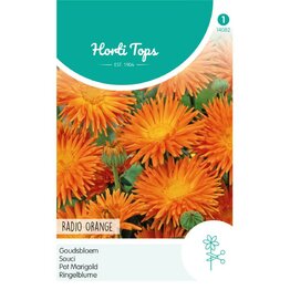Goudsbloem - Radio Orange