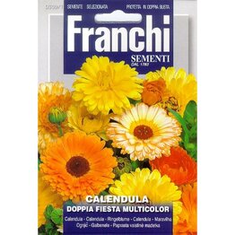 Goudsbloem - Doppia Fiesta Multicolor
