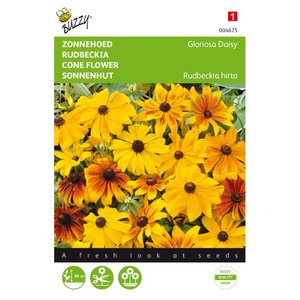 Rudbeckia, Zonnehoed Gloriosa Daisy