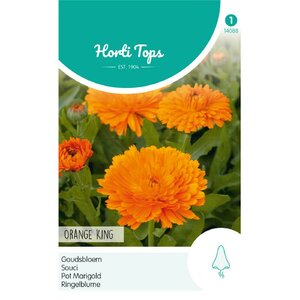 Goudsbloem - Orange King