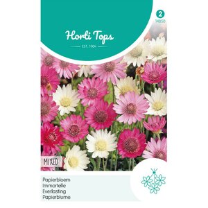 Papierbloem