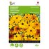 Rudbeckia, Zonnehoed Gloriosa Daisy_