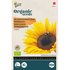 Zonnebloem -Giganteus BIO- _
